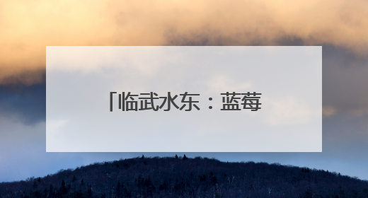 临武水东：蓝莓甜蜜上市 开启“莓”好初夏